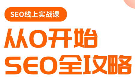 若凡老师·谷歌SEO实操课(更新)-白蛇网