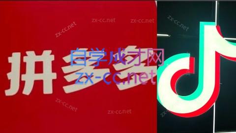 老陶电商·拼多多+抖音小店无货源开店(更新4月)-白蛇网