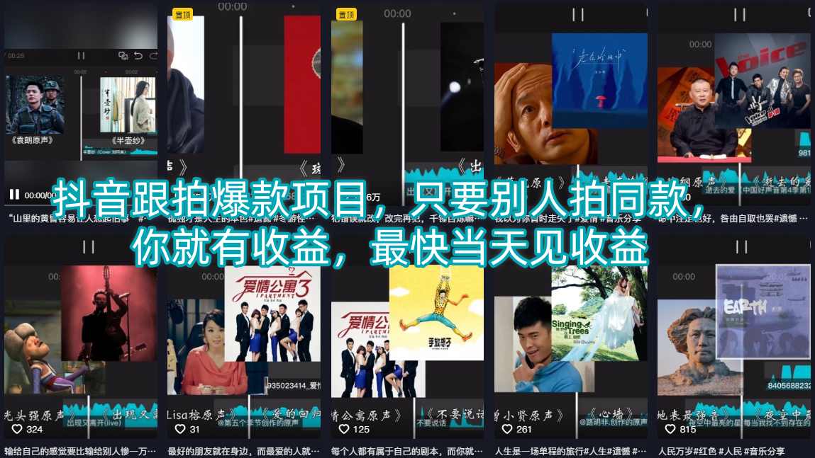 抖音跟拍爆款项目，只要别人拍同款，你就有收益，最快当天见收益-白蛇网
