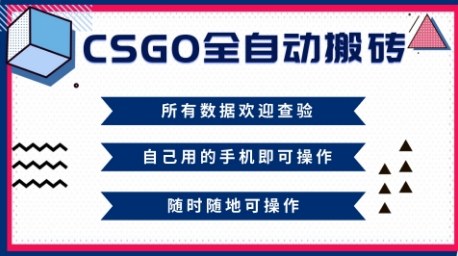 CSGO全自动搬砖，年底钱回家好项目，当天可拿到结果，新手小白轻松月入1W+【揭秘】